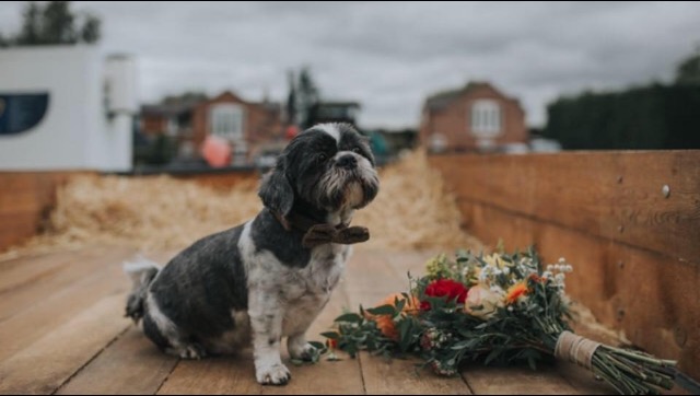 Dog posing with red and orange bride bouquet at Bridge House Barn Leicestershire